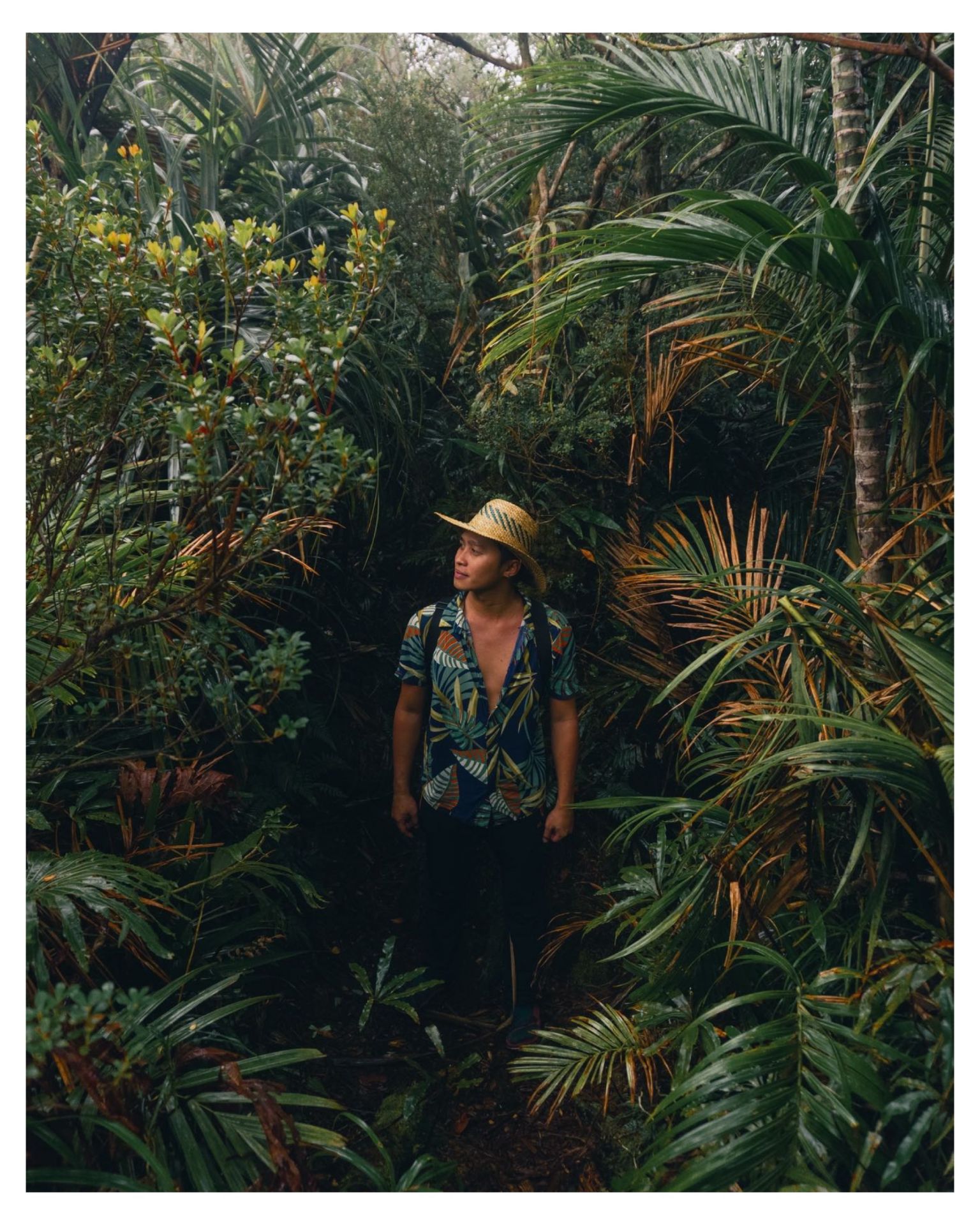 "The forest makes your heart gentle. You become one with it... No place for greed or anger there." - Pha Pachak📍Mt Tainis 🌿⛰️
.
.
.
.
.
.
.
.
.
.
.
.
.
.
.
.
.
.
.
.
#adventure #adventures #mountain #photography #adventureisoutthere #adventureawaits #portrait #discoverearth #visualsoflife #nature #view #explore #naturephotography #naturelovers #naturelover #earth #outdoors #outdoor #wanderer #hikingadventures #hiking #stayandwander #wanderlust #hike #sinopinas #moodygrams #lifeofadventure #discover #getlost #philippines