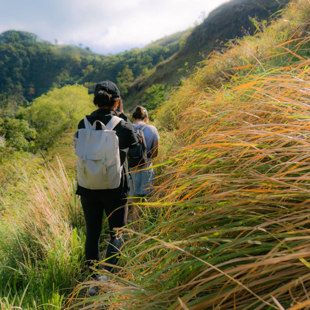 DSC01995-Enhanced-NR